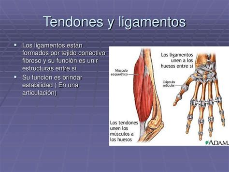 Ppt Universidad De Buenos Aires Facultad De IngenierÍa Powerpoint