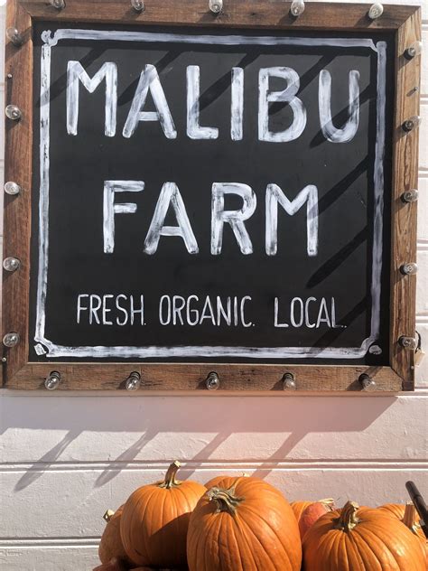 Malibu Farm, California | What Laura Did Next | Malibu farm, Malibu farm cafe, Malibu