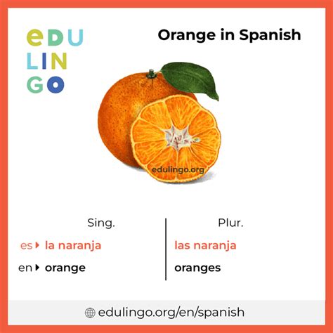 Orange In Spanish Writing And Pronunciation With Pictures