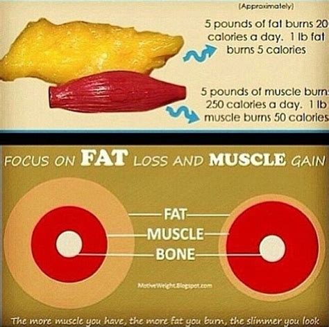 Pin On Weight Loss Facts Figures And Information
