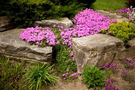 30 Flower Bed Ideas For 2020 Install It Direct