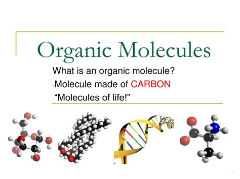 Ppt Organic Molecules Powerpoint Presentation Free Download Id5504895