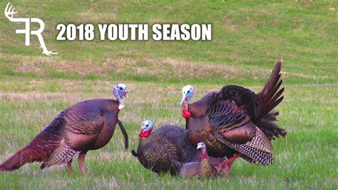 youth season turkey hunt youtube