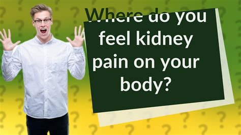 Where Do You Feel Kidney Pain On Your Body Youtube