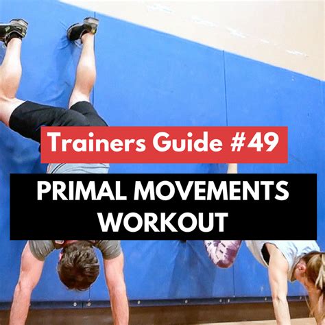 Primal Movements Workout Trainers Guide 49 Axfitcom