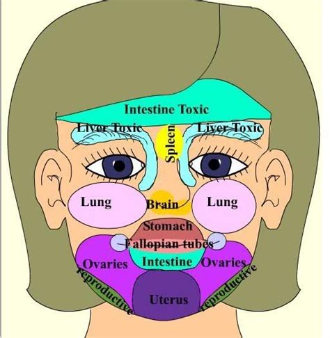 Acne Face Mapping What Your Body Is Telling You Diet And Holistic