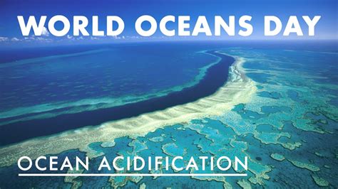 World Oceans Day Ocean Acidification Youtube