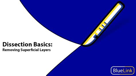 Dissection Basics Removing Superficial Layers Youtube