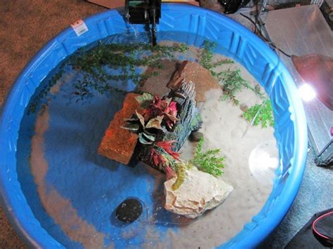 Indoor Turtle Pool Setup Turtle Aquarium Aquatic Turtle Habitat