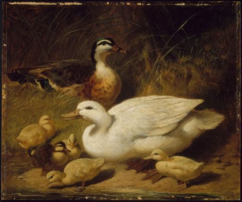 British Paintings Museum Of Fine Arts Boston Duck And Ducklings