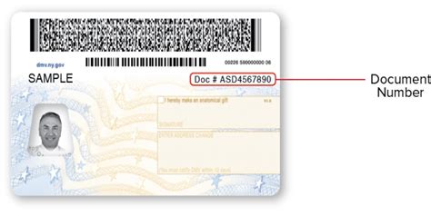 How To Find My Drivers License Number Without My License Zombielasopa