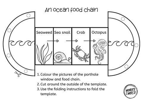 Food Chains Foldout Activity Ks1 Science Rainforest Ocean Woodland