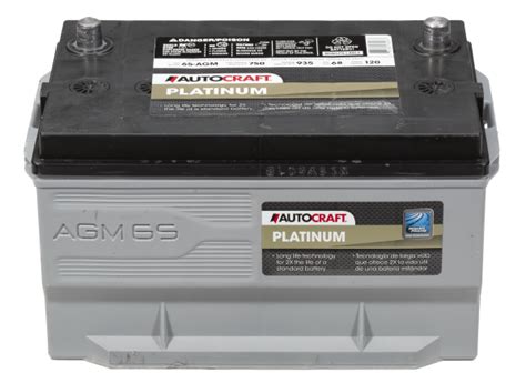 Miscella Bosch Platinum Agm Battery 24f