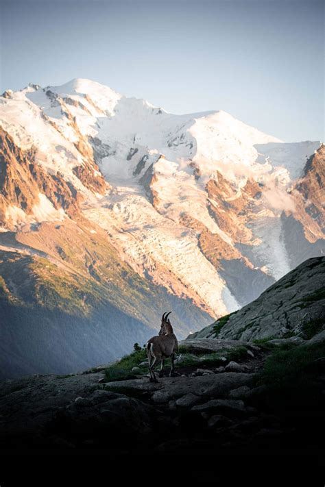 Consultez nos 2673 annonces de particuliers et professionnels sur leboncoin. Photo Savoie Mont Blanc | Vente Photos Paysage, Montagne ...