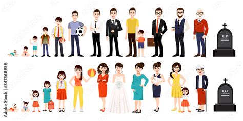Character With Human Life Cycles Vector Illustration Male And Female
