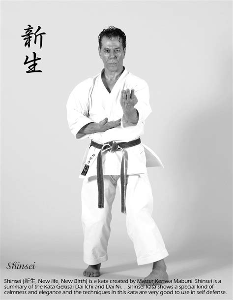 Shito Ryu Karate Karate Kata Karate Martial Arts Naha Teacher Name