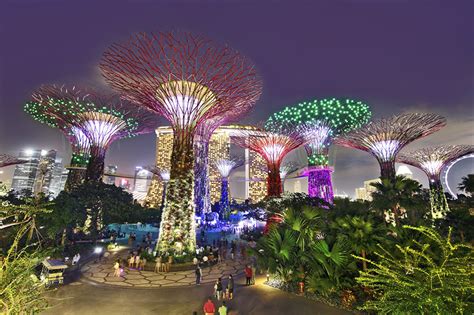 Fonds Decran Singapour Parc Gardens By The Bay Nuit Villes Télécharger
