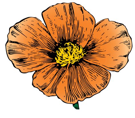 Maybe you would like to learn more about one of these? Library of cinco de mayo flower png transparent download ...