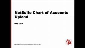 Netsuite Chart Of Accounts Import Template