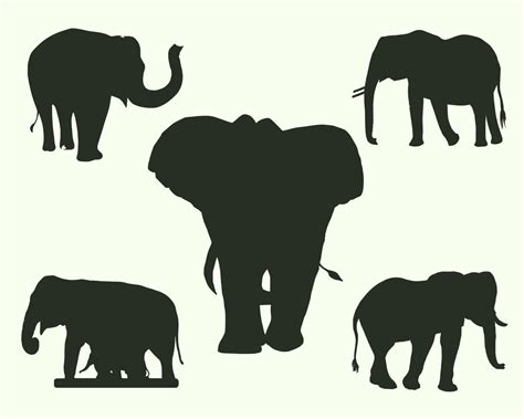 Conjunto De 5 Siluetas De Elefantes 17208562 Vector En Vecteezy