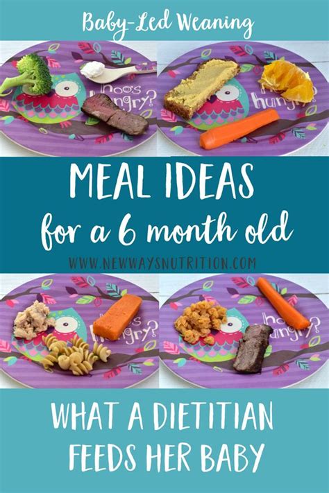 Feb 17, 2021 · here are a few of the best finger foods for baby to get started—including finger foods for baby with no teeth! 6 Month Old Baby Food Ideas- Lunch! | Baby led weaning ...