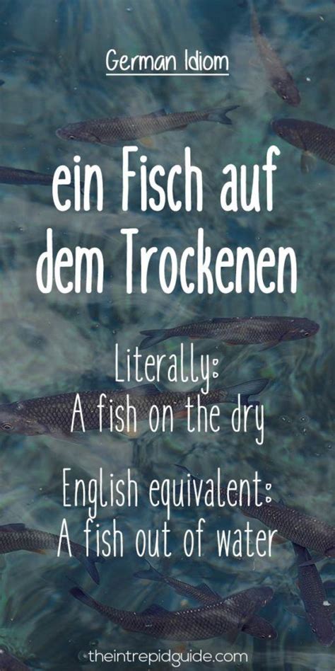 27 Hilarious Everyday German Idioms And Expressions Learn German