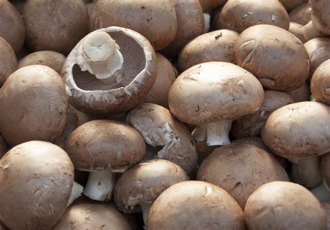Nutritional Value of Portobello Mushrooms | Livestrong.com