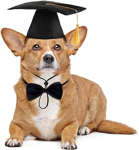 Dog Graduation Cap And Bowtie Collar Setpet Grad Costume Uk