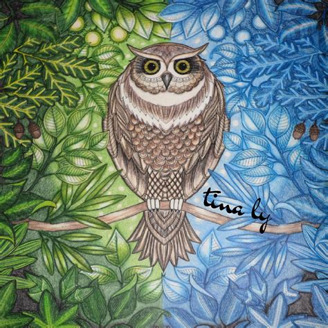 Secret garden coloring book amazing rattan garden furniture. 'The Owl' Secret Garden by Johanna Basford #prismacolor # ...