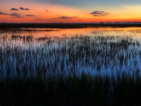 Salt Marsh Resilience — Georgia Conservancy