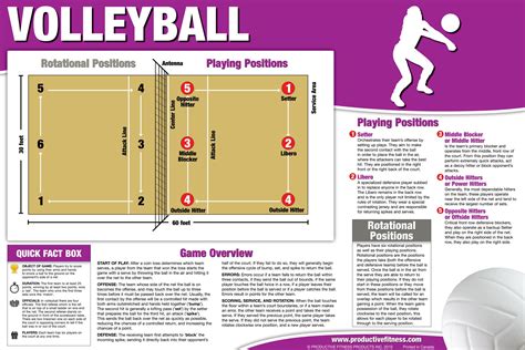 1995 Our Volleyball Overview Poster Is Perfect To Gain An Easier