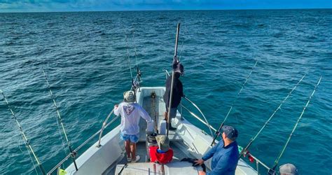 Check Out Our Fishing Newport Beach In Winter Guide Carefree Boats