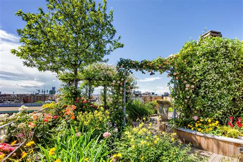 Rooftop Gardens Can Lower City Heat •