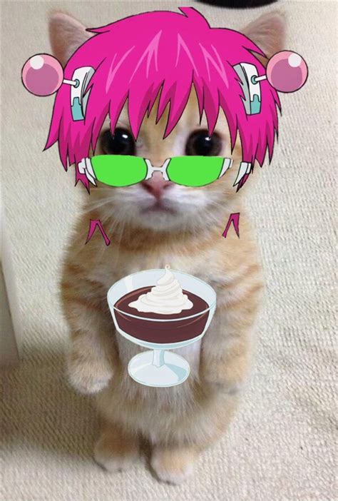 Saiki Pfp Saiki K Anime Kitten Funny Anime Pics Anime Cat