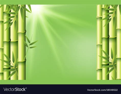 Bamboo On Green Background Royalty Free Vector Image