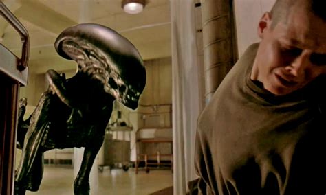 Alien Horror 9 Terrifying Xenomorphs From The Alien Movies Space