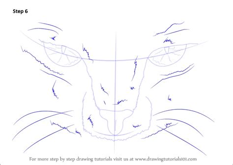 Learn How To Draw Scary Cat Eyes Other Animals Step By Step Drawing