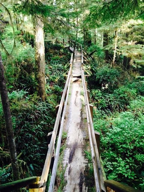 Tofino is a small fishing and surfing village on the west coast of vancouver island. Tofino, Canada | Best places to travel, Canada west coast ...