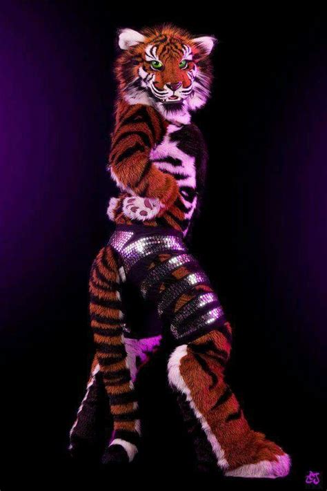 2 ~ fursuit of the tiger dance super sexy and hot fursuit fursuit furry furry