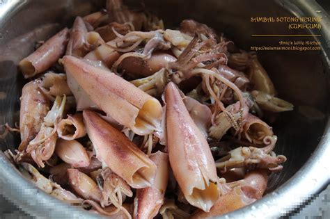 Salah satu cara melembutkan rambut yang kering adalah dengan menggunakan shampo pelembut. Cara Masak Sambal Sotong Kering (Cumi-Cumi) - AMIE'S ...