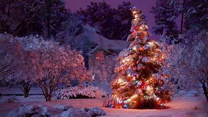 Christmas Lights Tree Pixelstalk