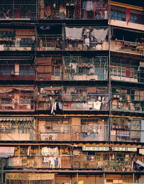 Cửu Long Thành Trại ở Hong Kong Nơi đầy Rẫy Tội Phạm Tệ Nạn Nhưng Lại