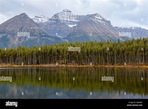 Banff National Park Herbert Lake Rocky Mountains Forest Reflection