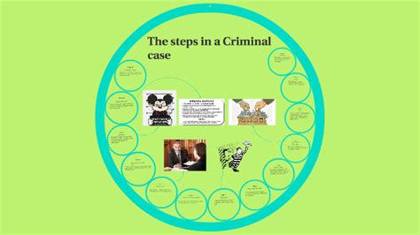 13 Steps In A Criminal Case By Ritik Patel