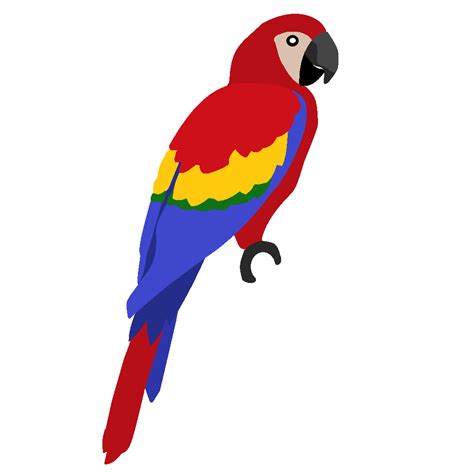 Macaw Clipart
