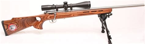 4 Best17 Hmr Rifle For Small And Accuracy Targets 2023