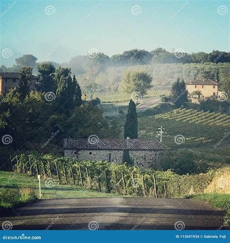 Tuscany Fields and Vineyards in Italy Stock Photo - Image of relax
