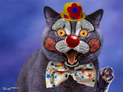Clown Cat Worth1000 Contests