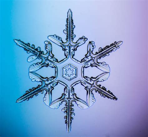 Snow Crystal Snow Crystal Snowflakes Real Beaded Snowflakes