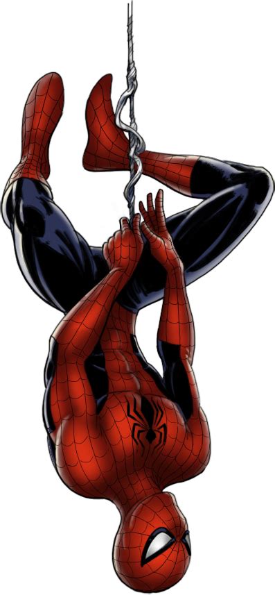 Spider Man Png Transparent Image Download Size 397x857px